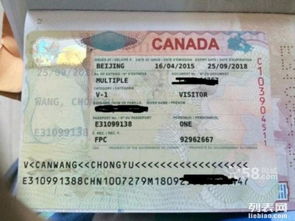 專業(yè)代辦美國、加拿大、澳大利亞、新西蘭等國簽證服務