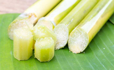 冬季養生吃甘蔗，這樣吃效果翻倍